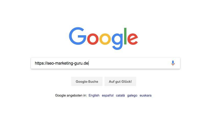 SEO Maßnahmen: google indexierung prüfen